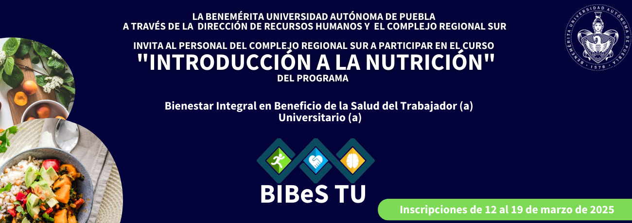 convocatoria bibes tu primavera 25